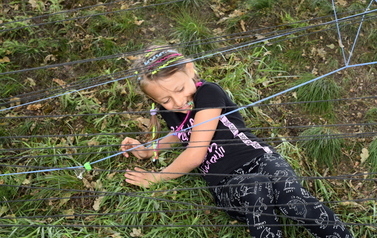 _DSC0437