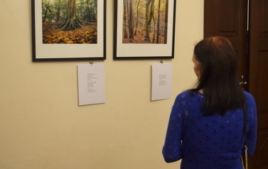 Kobieta oglądająca fotografie wiszące na ścianie.